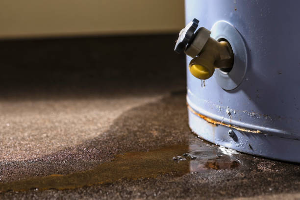 Best Ceiling water damage repair  in Alorton, IL