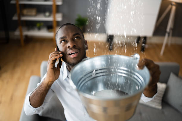 Best Water damage restoration near me  in Alorton, IL