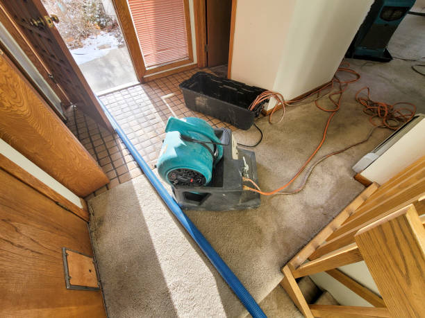 Carpet water damage restoration in Alorton, IL