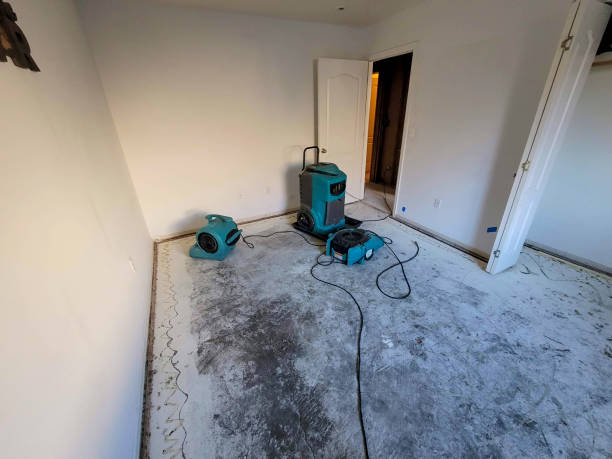 Best Local water damage restoration  in Alorton, IL