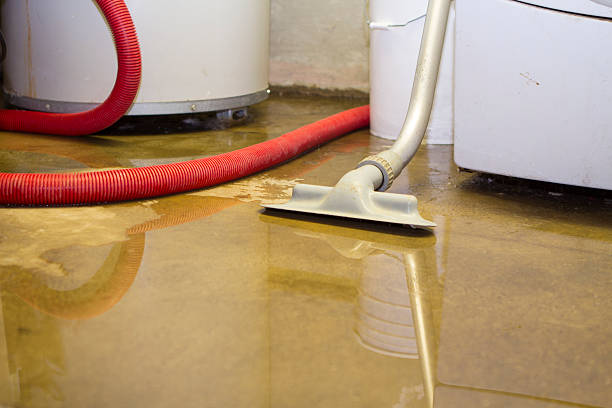 Best Water damage contractors near me  in Alorton, IL