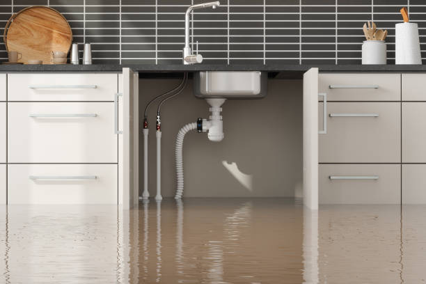 Local water damage restoration in Alorton, IL