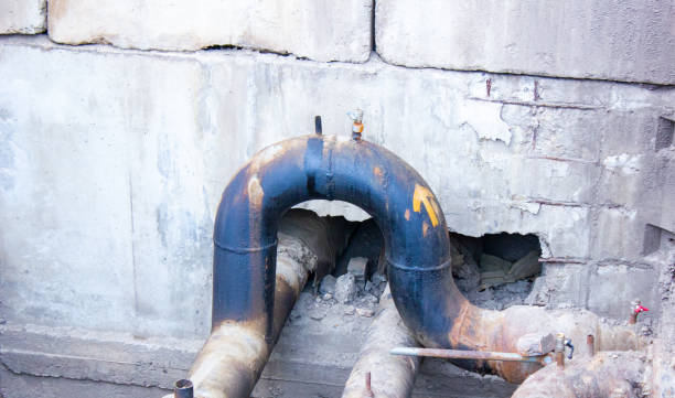 Best Flood damage cleanup  in Alorton, IL